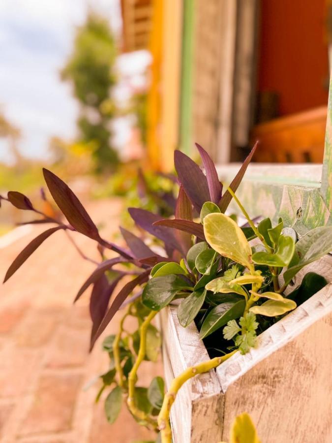 Casa Tematica Icaraizinho Βίλα Εξωτερικό φωτογραφία